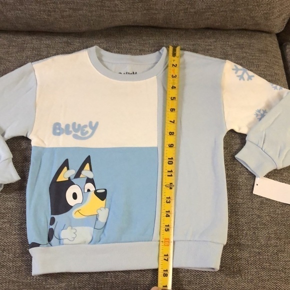 BLUEY Moose Toddler Boy Bluey Sweatshirt Pullover Sweatpants Set Blue 5T - Picture 15 of 16